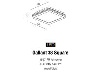gallant-38-square1