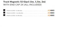 track-magnetic-52-gips1
